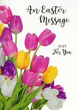 Introduce the vibrant "Open Easter" card, a delightful addition to your seasonal collection from Simon Elvin. This charming card features a stunning bouquet of colourful tulips, bursting with shades of pink, yellow, purple, and white, perfectly capturing the essence of spring. The elegant script on the front reads "An Easter Message Just For You," offering a warm and personal touch for loved ones. Supplied in a convenient pack of 6, these cards are ideal for retailers looking to offer high-quality, visually appealing Easter greetings. Ensure your customers can share their festive wishes with this beautiful design.