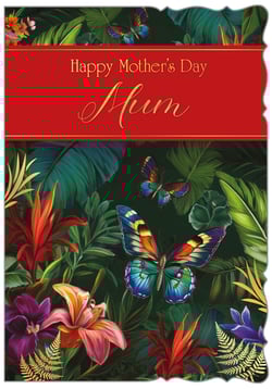 Make Mother's Day truly special with our exquisite 'Mum' card, brought to you by Out of The Blue Studios Ltd. This stunning card transports you to a vibrant tropical paradise, adorned with lush green foliage, exotic flowers in rich reds, oranges, and purples, and beautifully detailed, colourful butterflies. The elegant red banner, featuring 'Happy Mother's Day Mum' in a charming gold script, adds a touch of sophistication. With its captivating artwork and decorative cut edges, this card is a delightful way to express love and appreciation. Available in a convenient pack of 6, it's the perfect choice for retailers seeking a premium and eye-catching Mother's Day offering.