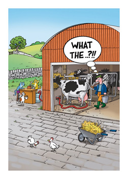A cartoon of a cow in a barn with a speech bubble that says "what the".