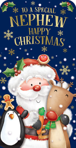 a christmas card that says to a special nephew happy christmas