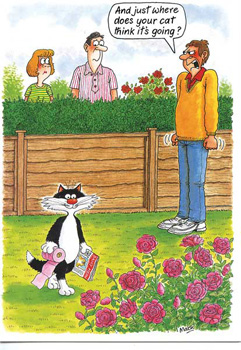 A cartoon of a cat standing in a garden and talking to a man.