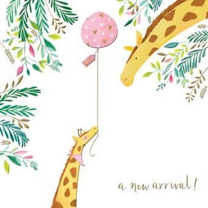 A giraffe is holding a pink balloon in its mouth.