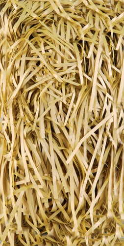 A pile of shredded paper that looks like hay.