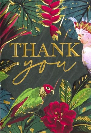 A thank-you card with tropical birds and flowers.