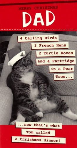 A Christmas card with a cat wearing a Santa hat.