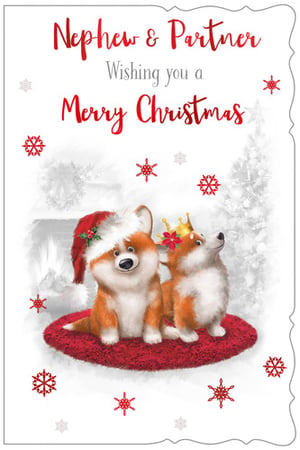 A Christmas card for a nephew and partner wishing you a Merry Christmas.