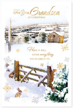 A Christmas card that says "For you, grandson, at Christmas."