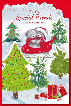 A Christmas card that says "For our special friends, Merry Christmas."