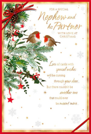A Christmas card for a special nephew and his partner.