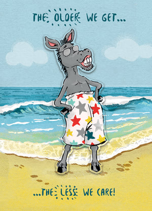 A cartoon donkey on the beach with the words "the older we get."