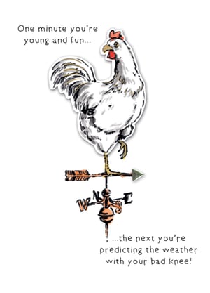 A rooster standing on top of a weather vane with the words: "One minute you're young and fun."
