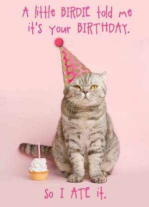 A little birdie told me it's your birthday, so I ate it.