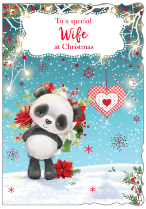 a christmas card with a panda bear and the words to a special wife at christmas