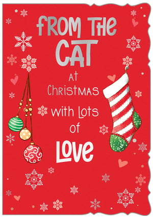 a christmas card that says from the cat at christmas with lots of love