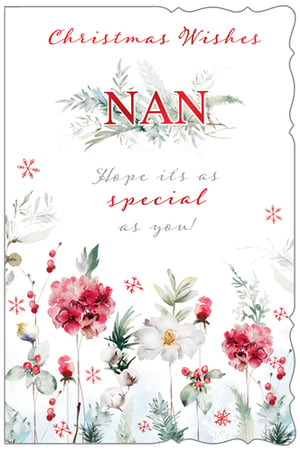christmas wishes nan hope it 's as special as you