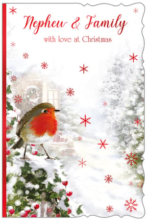 a christmas card for a nephew and family with a bird in the snow