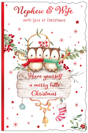 a christmas card for a nephew and wife