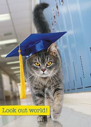 a cat wearing a graduation cap and tassel is walking down a hallway .