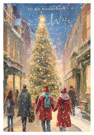 a christmas card that says to my wonderful wife
