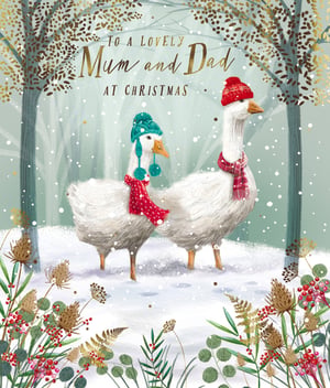 a christmas card that says to a lovely mum and dad at christmas