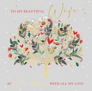 a christmas card that says to my beautiful wife at christmas with all my love