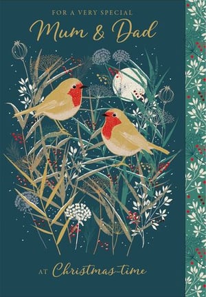 a christmas card for a very special mum and dad at christmas time .