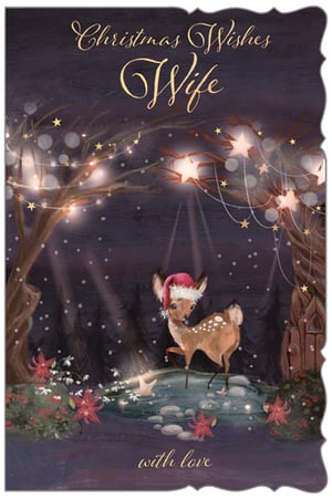 a christmas card for a wife with a deer wearing a santa hat
