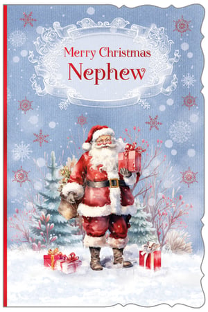 a merry christmas card for a nephew