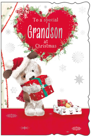 a christmas card that says to a special grandson at christmas
