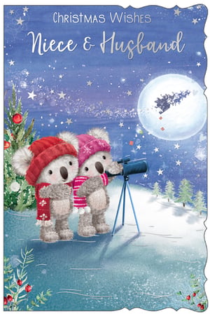 a christmas card for niece and husband with two koala bears looking through a telescope