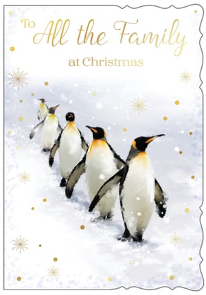 a christmas card that says to all the family at christmas