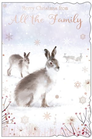 a christmas card that says merry christmas from all the family