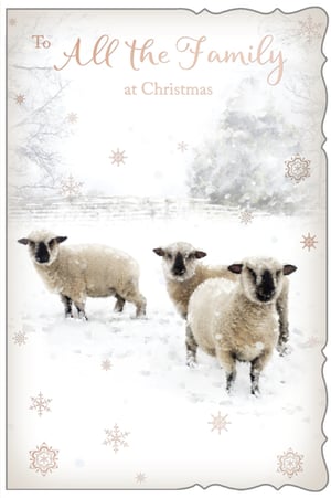 a christmas card that says to all the family at christmas