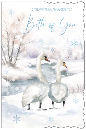christmas wishes to both of you with two swans in the snow