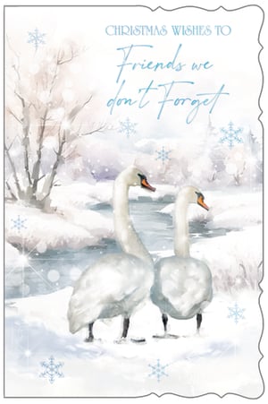 christmas wishes to friends we do n't forget