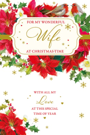 for my wonderful wife at christmas time with all my love at this special time of year