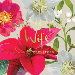 a christmas card that says to a wonderful wife at christmas