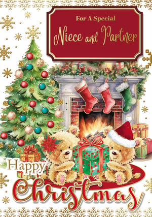 a christmas card for a special niece and partner