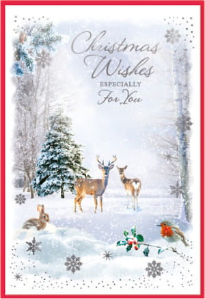 a christmas card with a snowy scene and the words christmas wishes especially for you