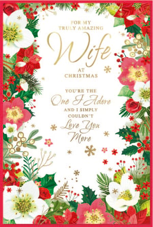 for my truly amazing wife at christmas you 're the one i adore and i simply couldn 't love you more