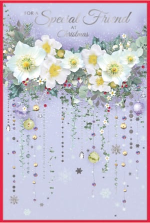 a christmas card that says for a special friend at christmas
