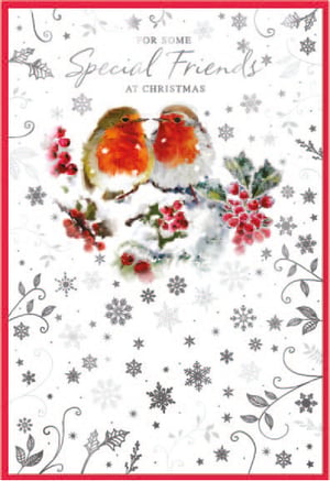 a christmas card that says for some special friends at christmas