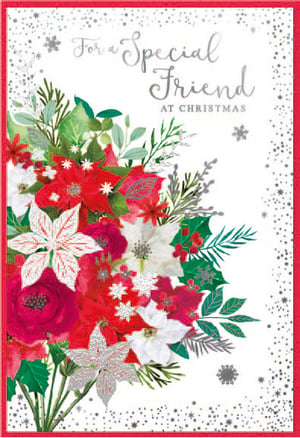 a christmas card that says for a special friend at christmas