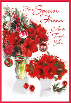 a christmas card that says for a special friend and that 's you