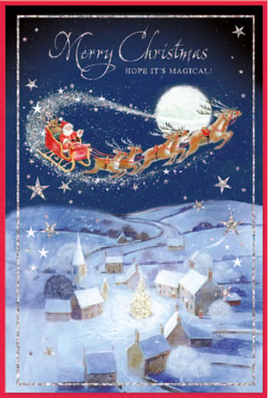 a christmas card that says merry christmas hope it 's magical