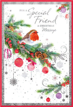 a christmas card for a special friend with a bird on a branch