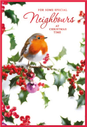a christmas card that says for some special neighbours at christmas time