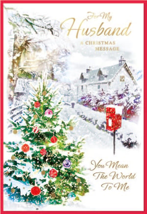 for my husband a christmas message you mean the world to me