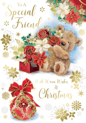 a christmas card that says to a special friend with warm wishes at christmas