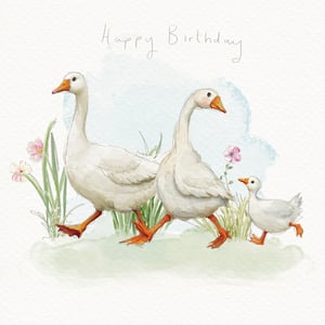Introduce a touch of gentle charm to your card collection with this delightful Open Birthday card, ideal for female recipients. This beautiful watercolour illustration from the Great British Card Company captures a heartwarming scene of a goose family enjoying a stroll through a sun-dappled meadow. The soft colours and sweet design make it a wonderfully versatile choice for celebrating any special birthday. Each pack contains 6 cards, ensuring you're well-stocked with a truly lovely option that's sure to bring joy. A perfect pick for those who appreciate nature-inspired artistry.